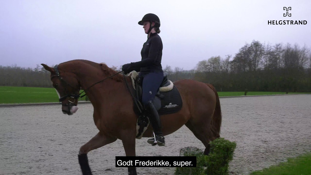 Video 3: Hvordan skaber man en god kontakt til hestens mund og styrker dens svagheder - dansk