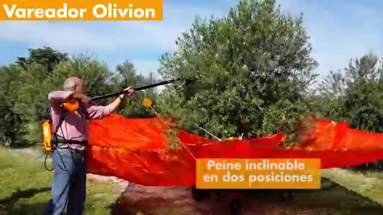 Carretilla con paraguas para recoger olivas | 4 herramientas para recoger olivas