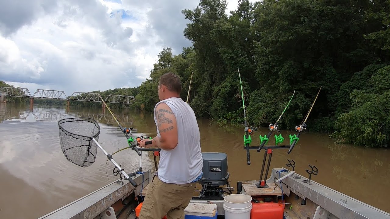 Chasing Big Blue Catfish In The River