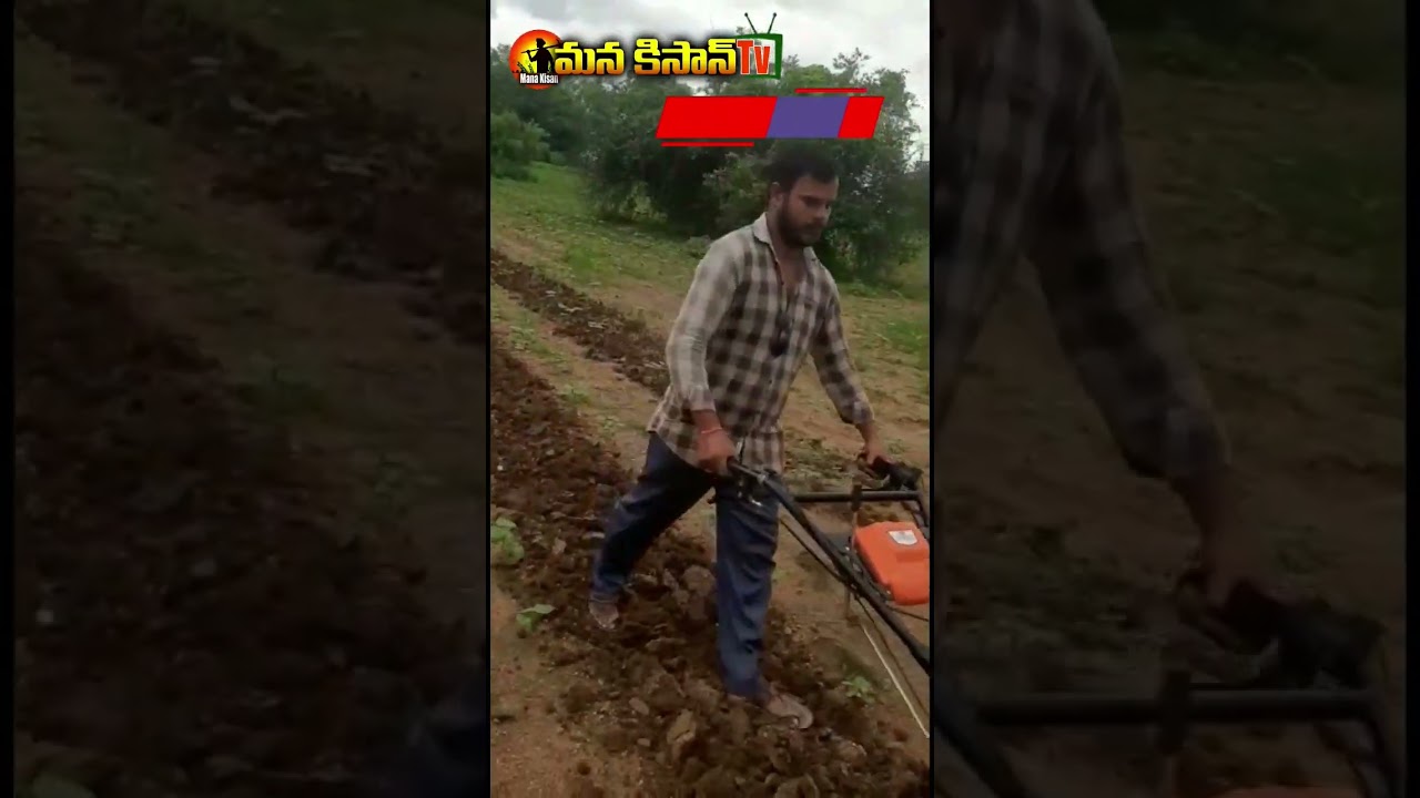 Power Weeder Cultivation | Cotton InterCultivation Power Weeder | Mini Tiller Machine | ManaKisan Tv