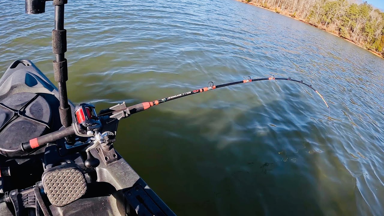 The Morning Bite Picked Up BIG