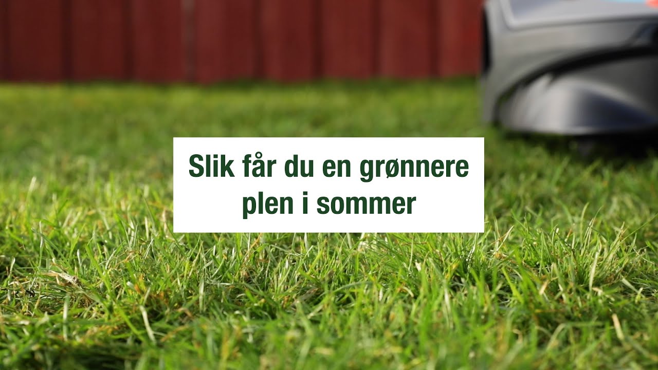 Slik får du en grønnere plen i sommer