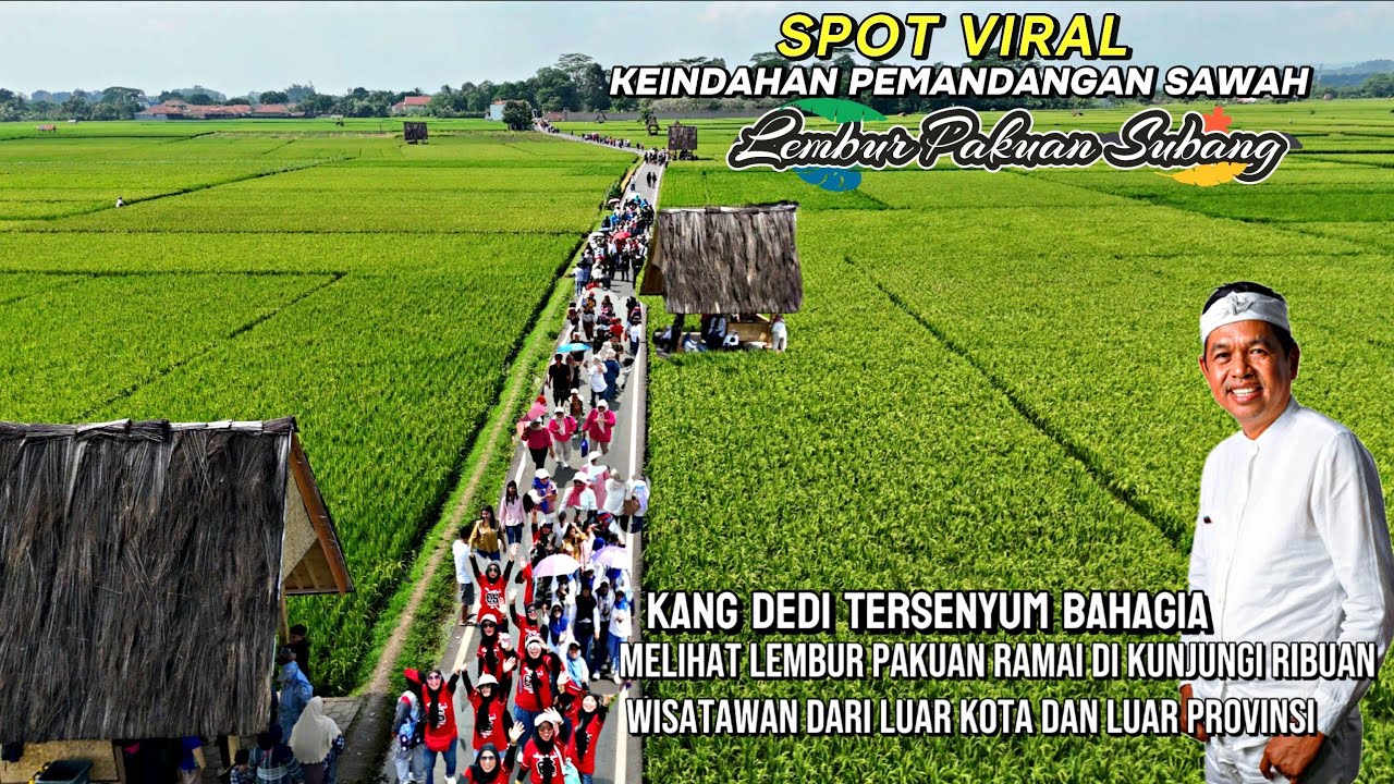 Lembur Pakuan Subang ‼️ Spot viral pemandangan sawah yang indah