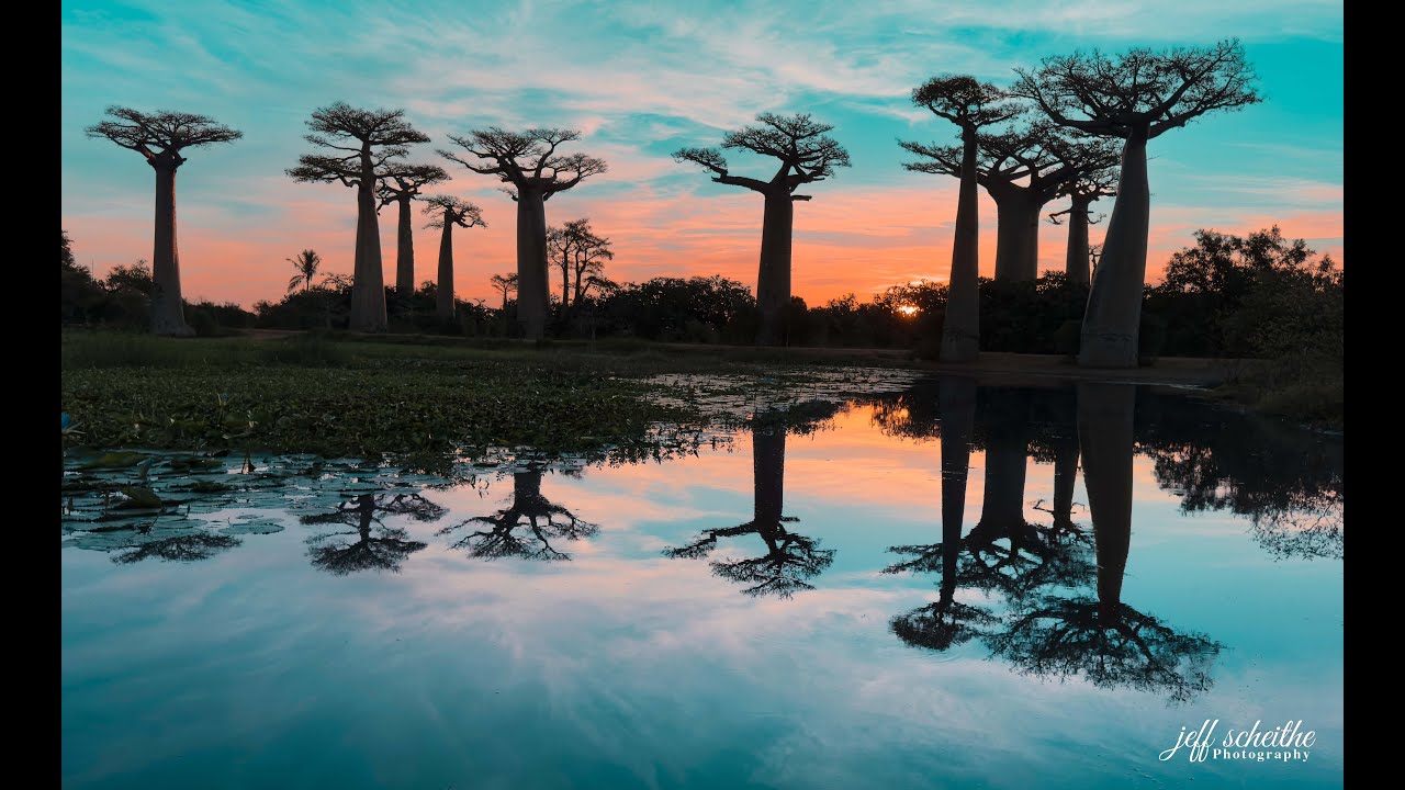 2025 Madagascar