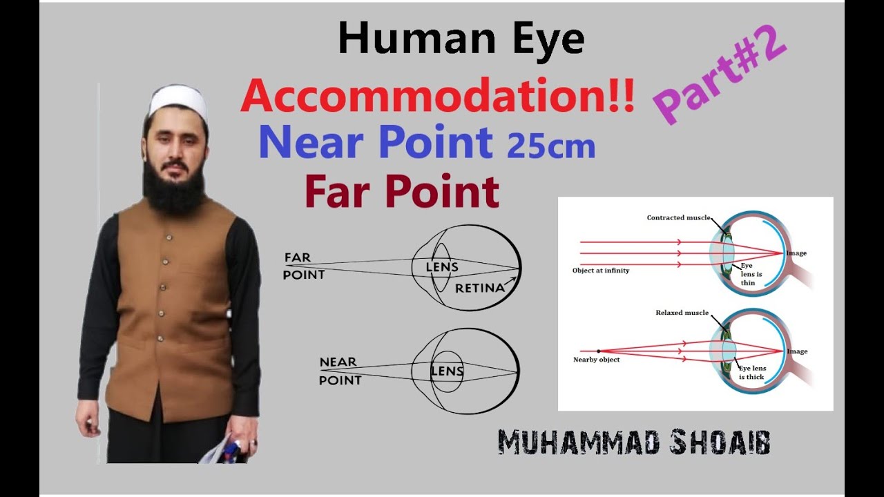 Human Eye Part 2 |Lec#16 |Class 10 |Geometrical Optics