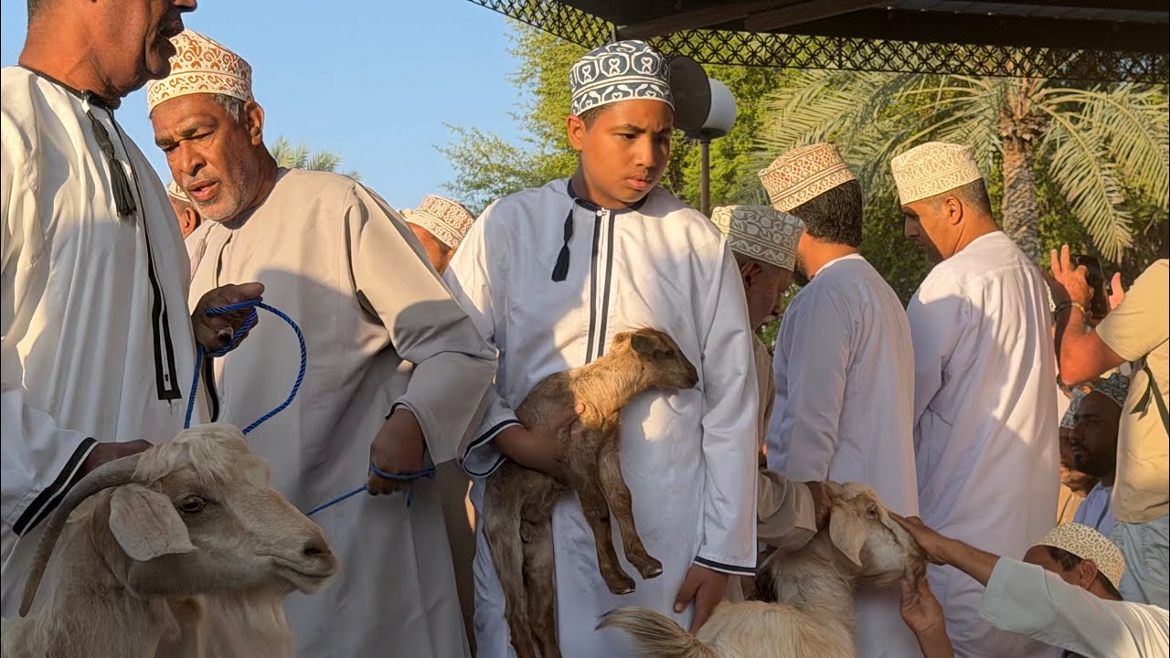 Nizwa Friday Goat Market - Oman