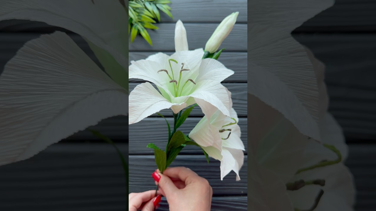 Wow! Amazing Lily Crepe Paper Flower DIY Decoration Craft