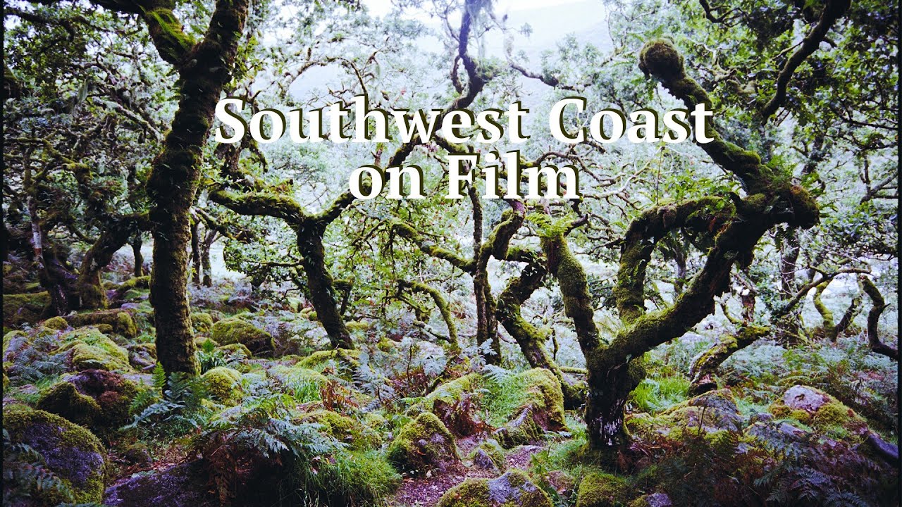 UK's Southwest Coast - Landscape Film Photography (Wistman's Wood, Land's End, Gara Rock)