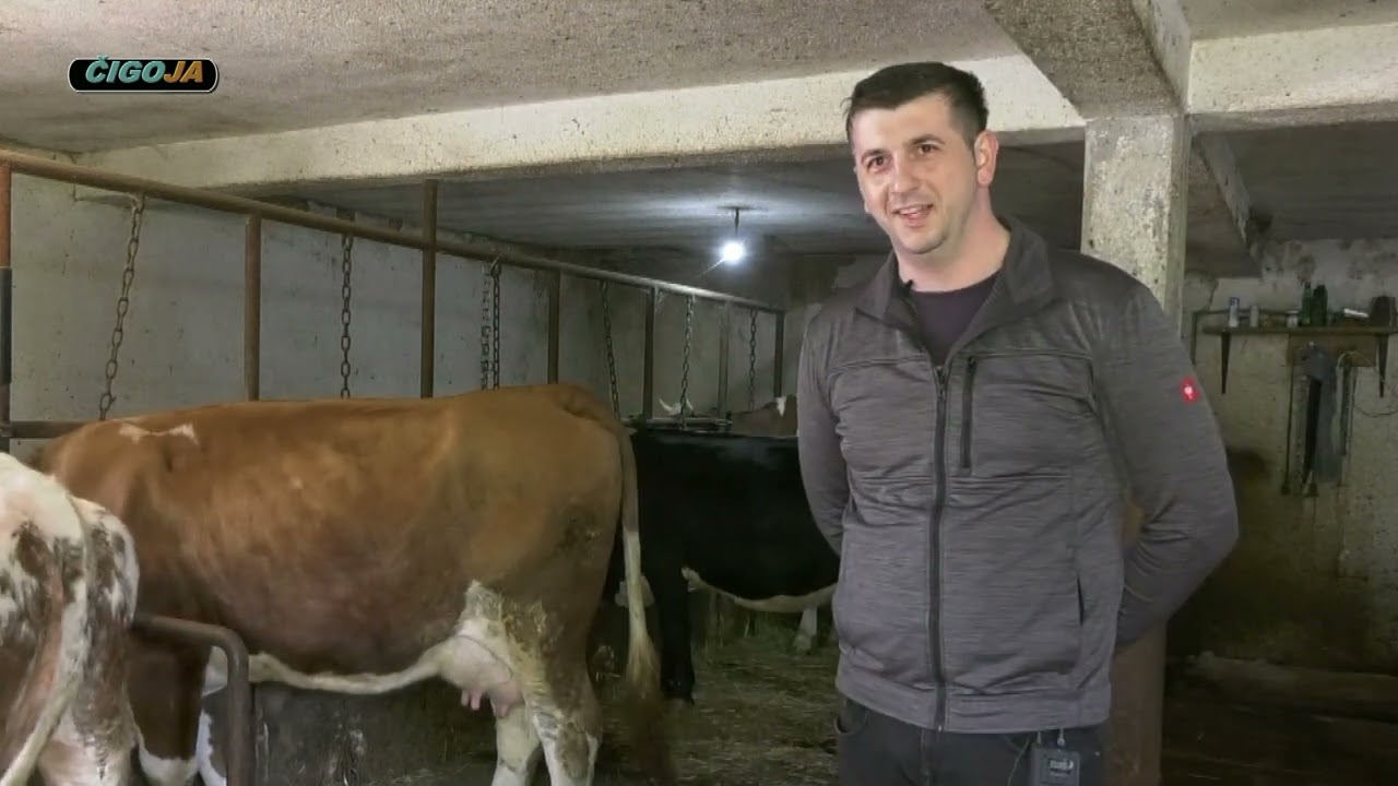 - MESNICA BLAŠKO PROIZVODI KVALITETNE MLIJEČNE PROIZVODE I TVRDA JAJA  BUSOVAČA 2022