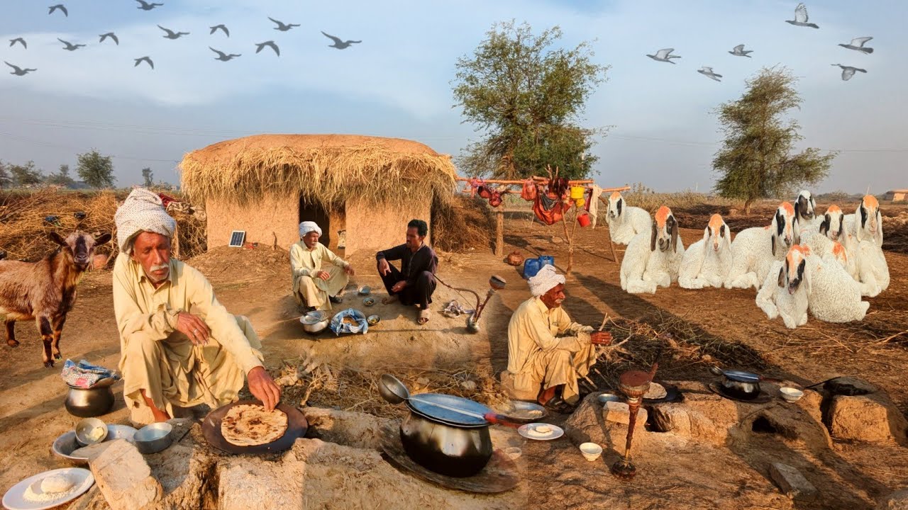 People living in cholistan | Desert village life in Punjab | Women morning routine Pakistan 