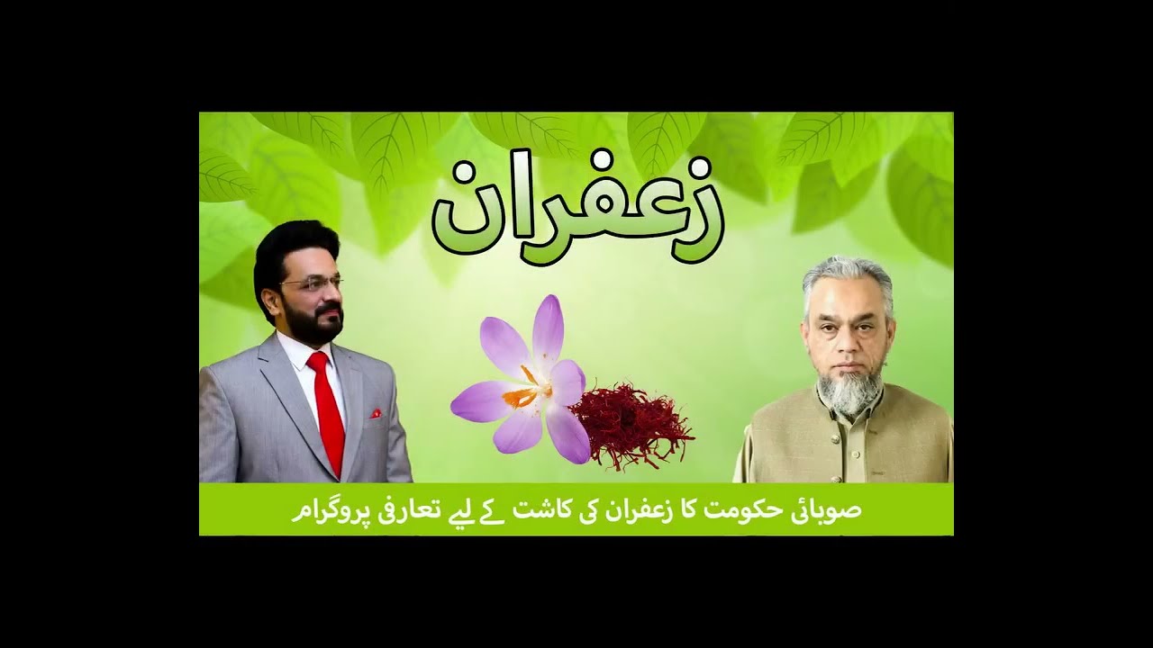Pakistan's Saffron Revolution: A Culinary Gold Rush
