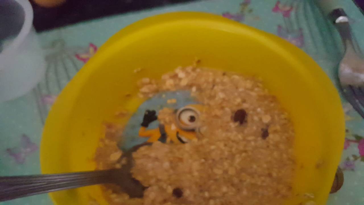 Slimming world chocolate chip oats biscuits