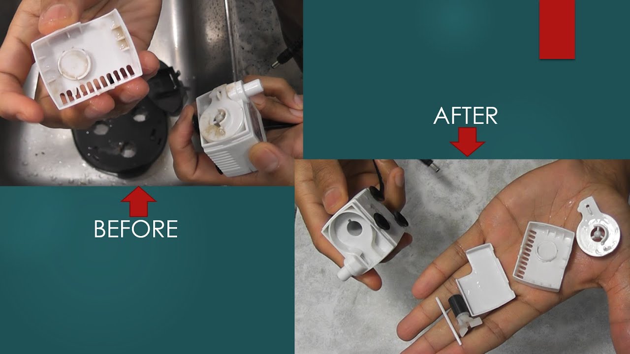 Deep cleaning Aerogarden pump to remove nutrient deposits and roots