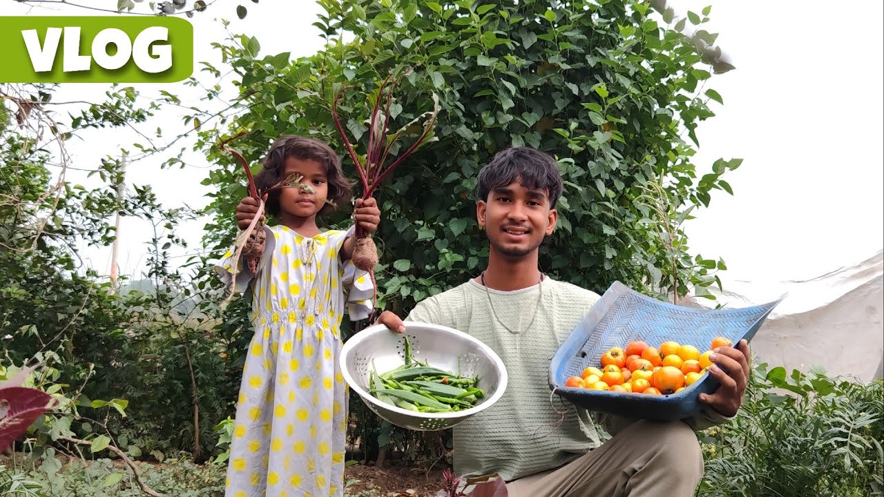 Apne Ghar Ki Fresh Sabziyan Todhi 🥕🌱 | Fresh Sabziyan Direct Ghar Se 🥕😍