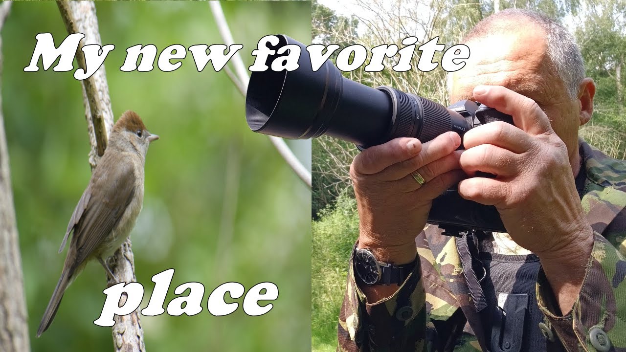 Wildlife photography at my new favourite place