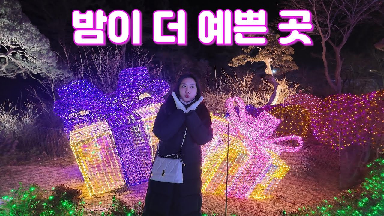 올리브랑 데이트갈래? 아침고요수목원 야간개장 #대리만족