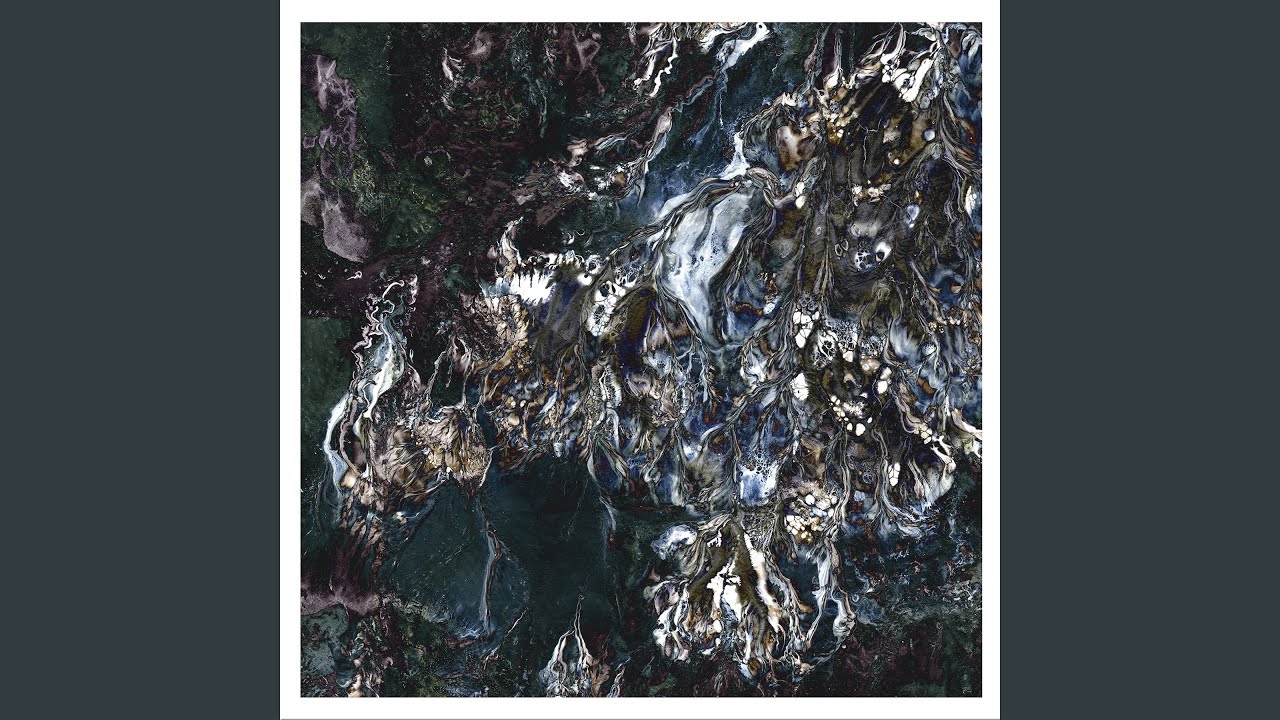 Stolidity