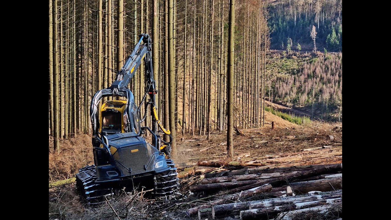 🌲 Finnish-logger *Harvester-teacher* in Scorpion • Ponsse Scorpion - H7 • CraneView • Loggingvideo🌲