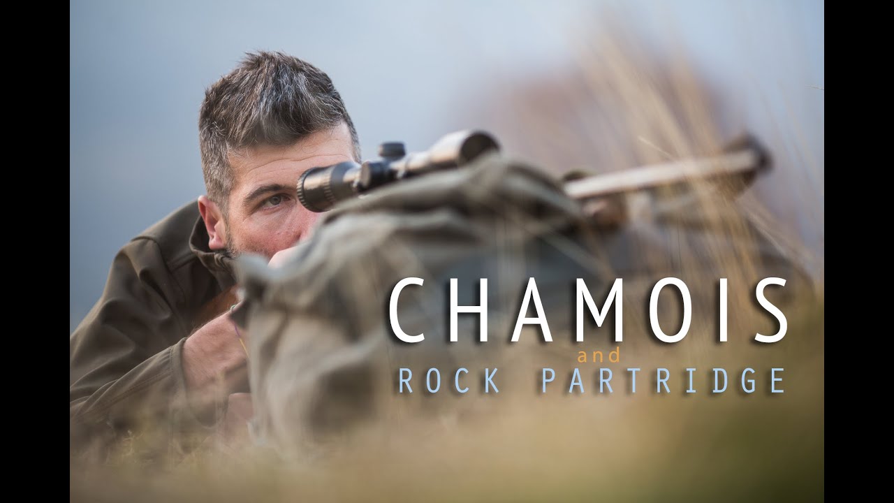 Chamois and rock partridge mountain hunting - Altitude and Trails, Alpine Adventures