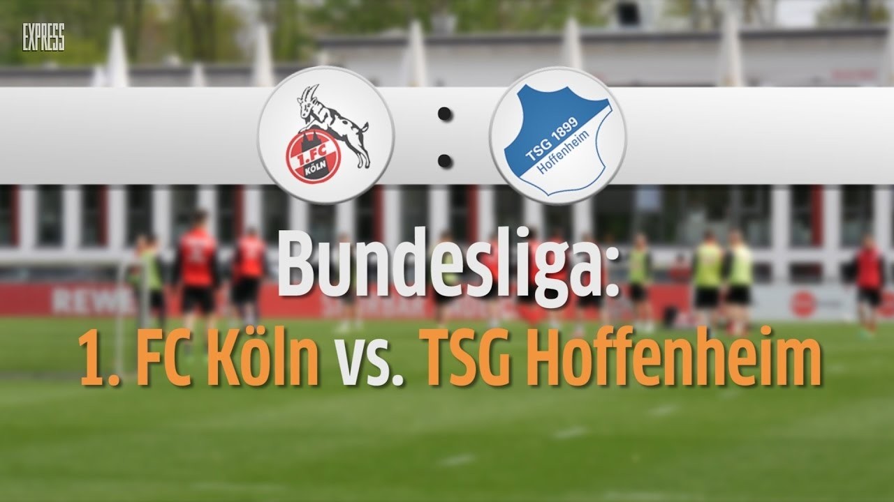 1. FC Köln - TSG 1899 Hoffenheim. 23. Spieltag. Meine Vorschau. Come on, Effzeh 