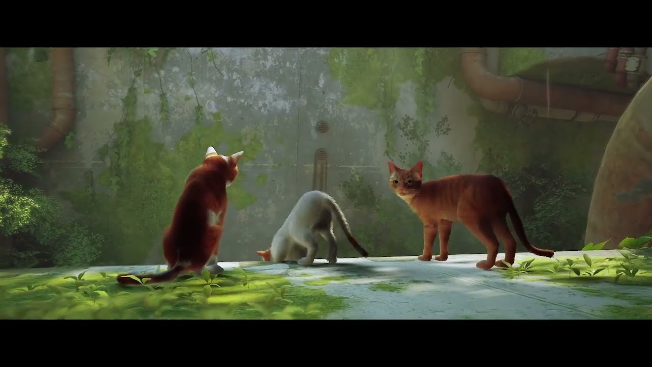 Stray Gameplay #1