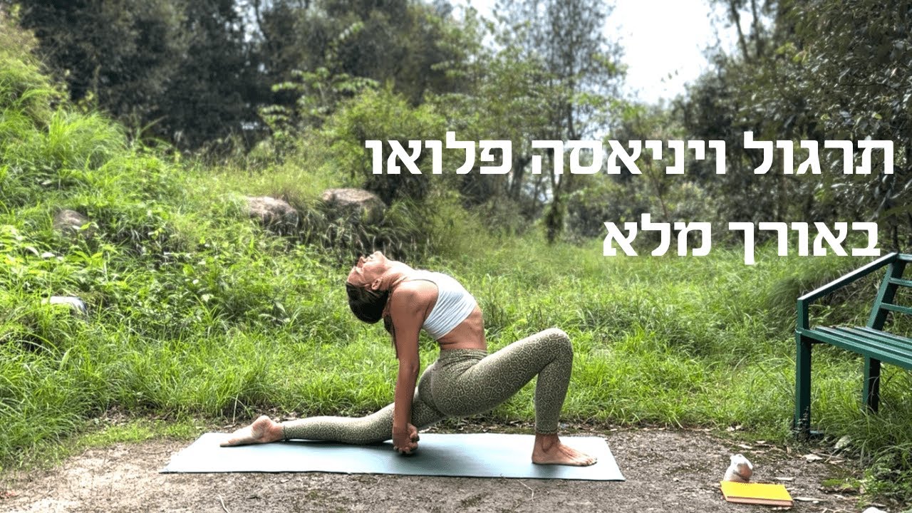 תרגול ויניאסה לבוקר באורך מלא - 90 דקות - לכל הרמות