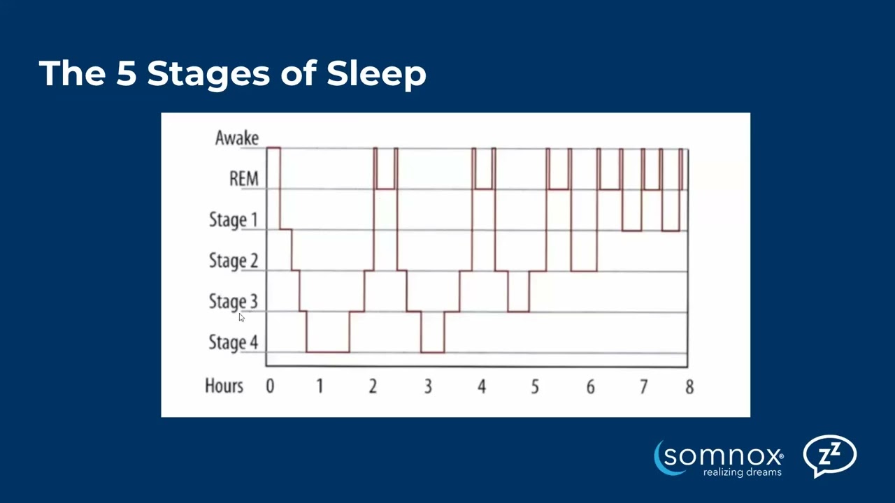 Understanding your sleep cycles