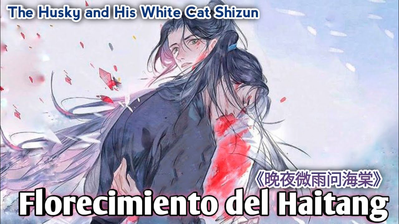 Florecimiento del Haitang《晚夜微雨问海棠》| The Husky and His White Cat Shizun 【二哈与他的白猫师尊】