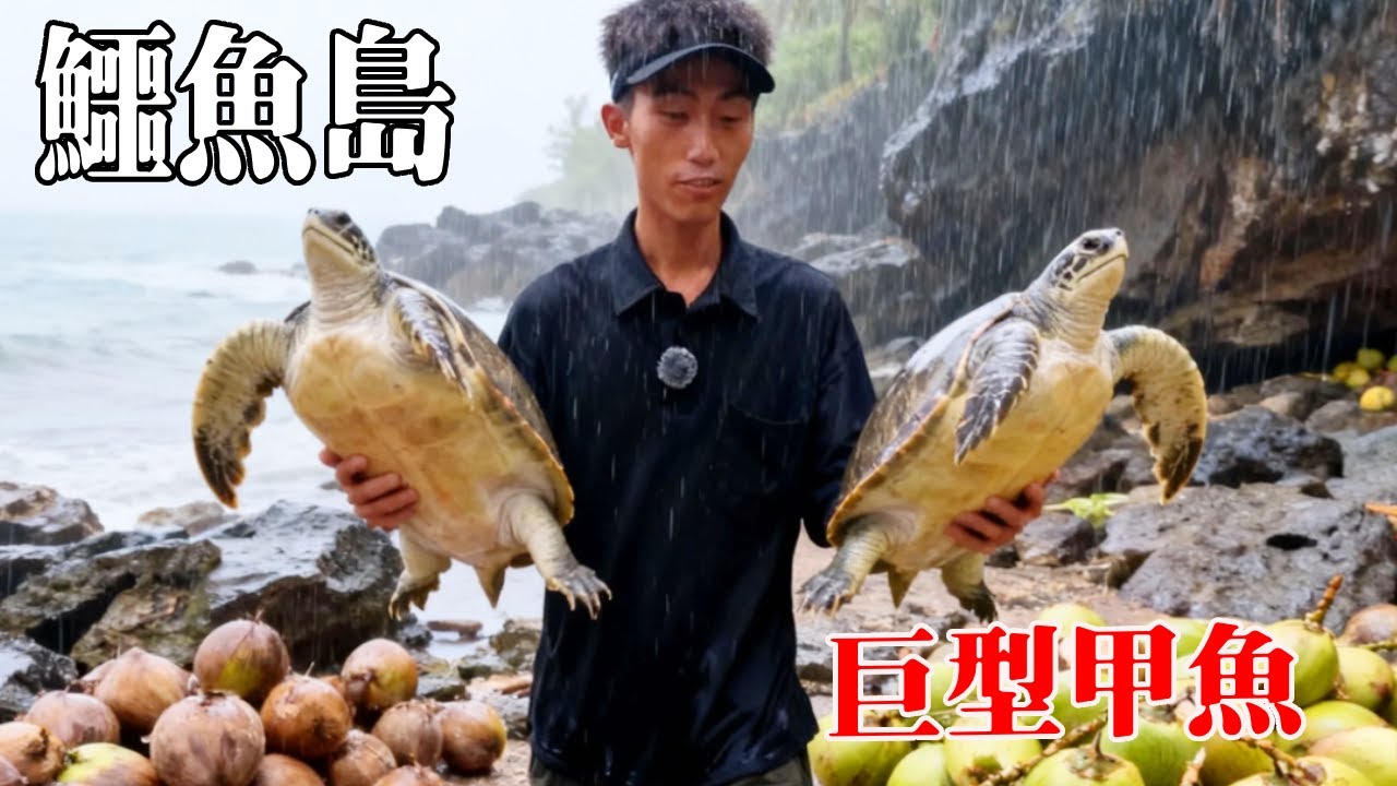 巴布亞哈馬黑拉海鱷魚島生存挑戰！摘200個椰子補充淡水，還抓到了甲魚補充蛋白質！【探索兄弟】