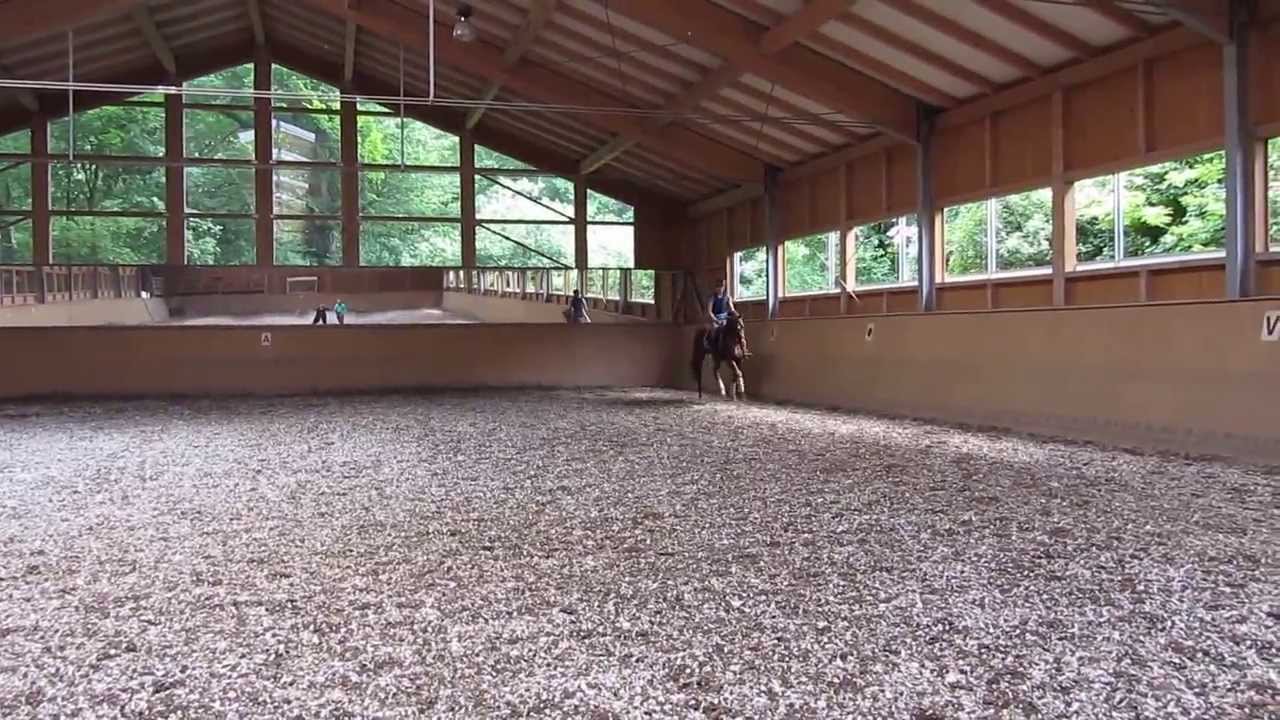 Quater Royal v Quaterback - Wolkentanz - Donnerhall - Dr. Thomas Ritter Training