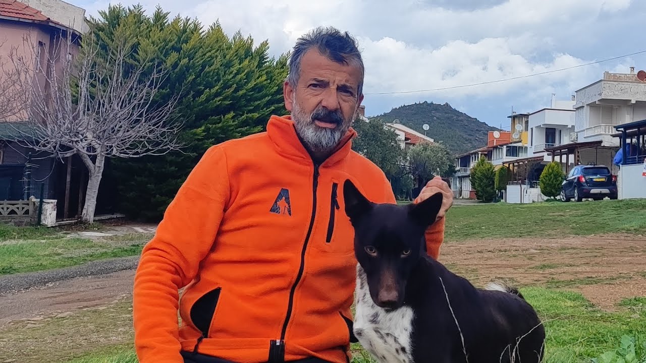 Gece Araması: Zemin Geçişlerinde Zerlin’in Performansı