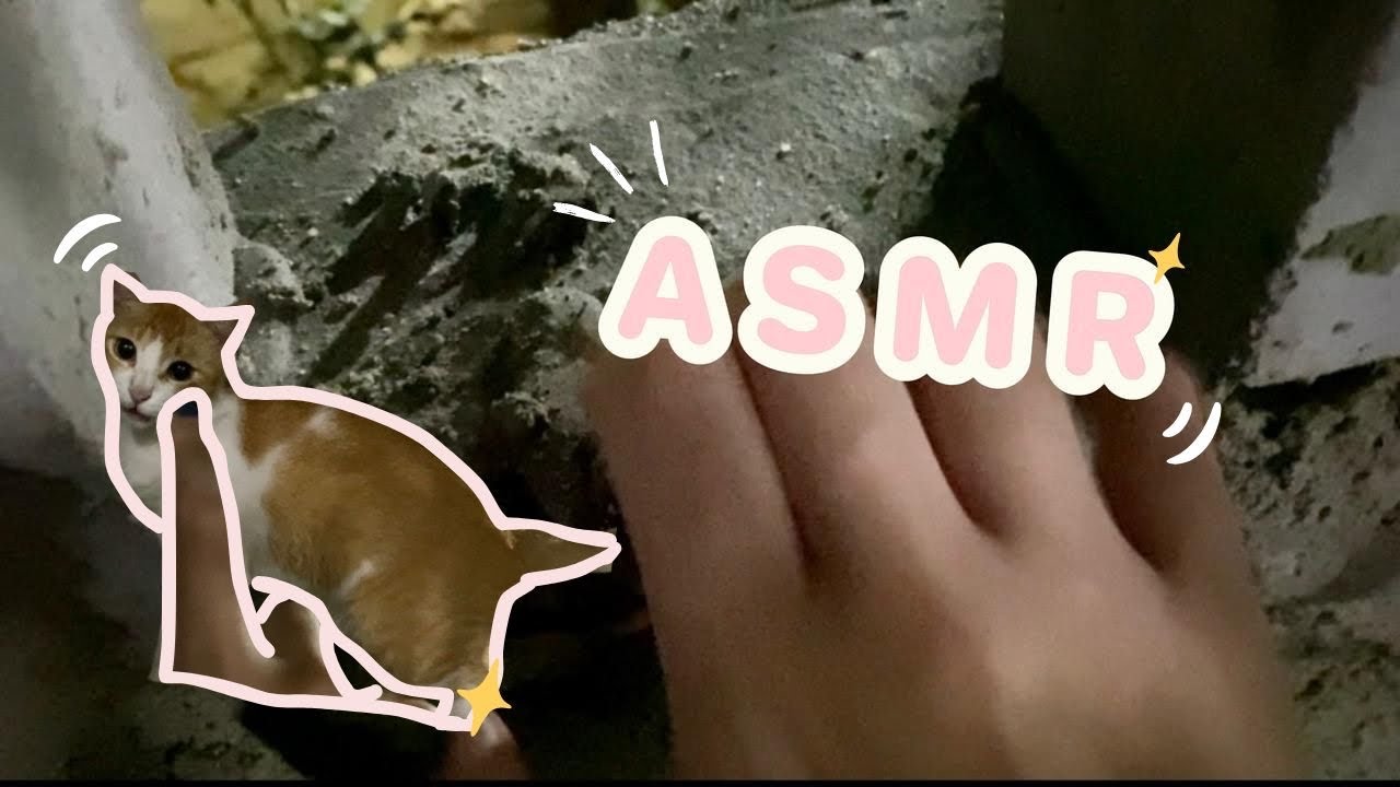 my first asmr video | tapping on concrete + cat cameo 🐱