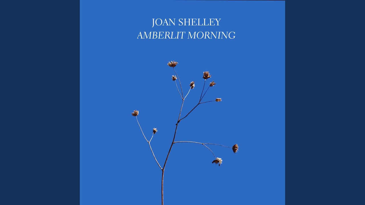 Amberlit Morning