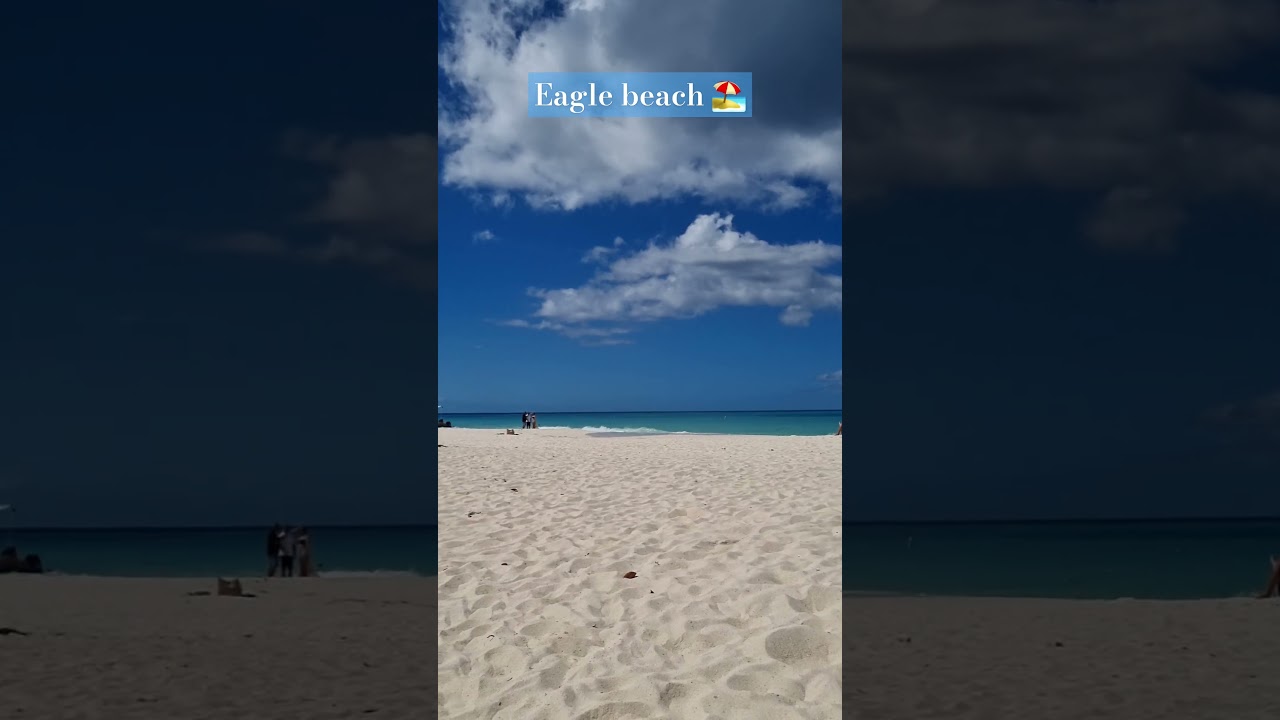 #aruba #travel #best #beach #youtubeshorts #eaglebeach #nature 🇦🇼🩵