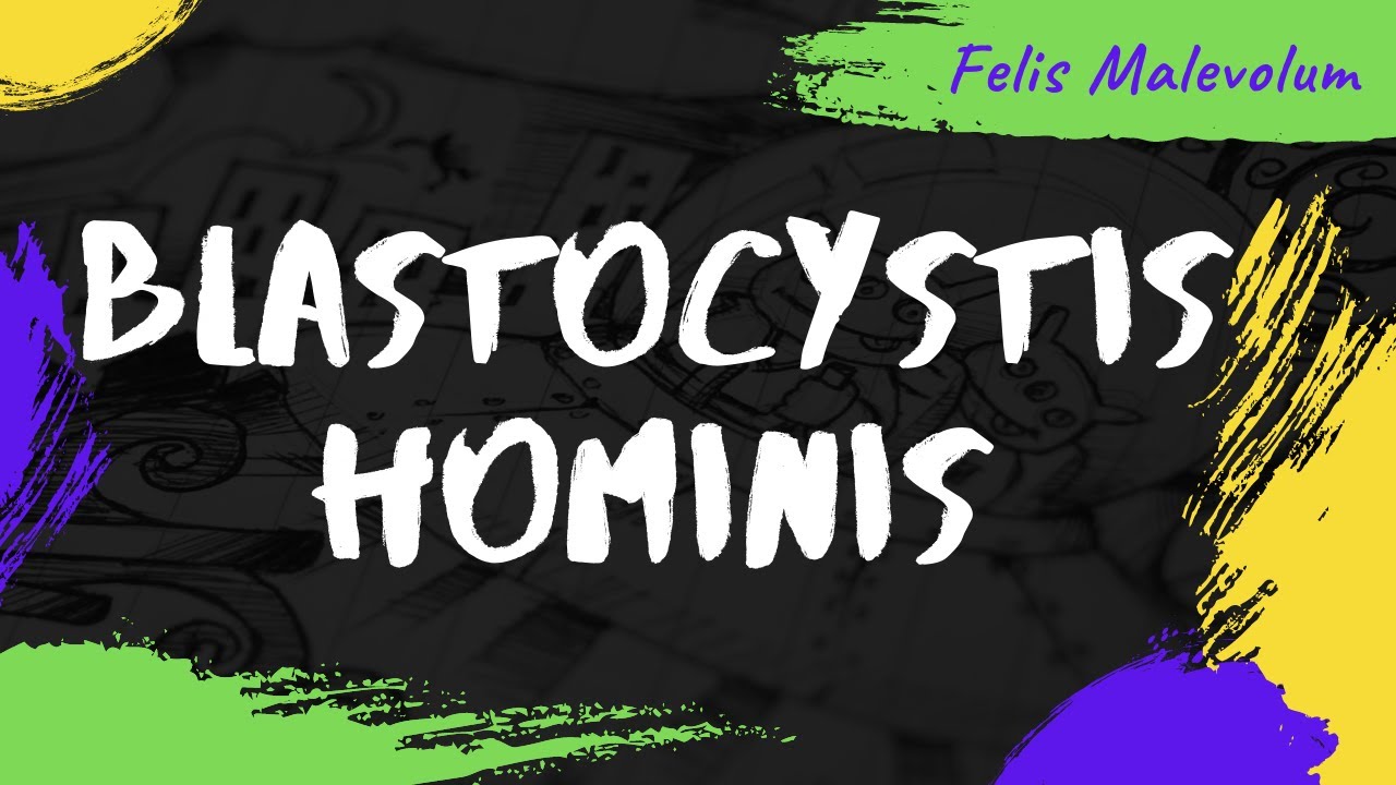 Blastocystis hominis