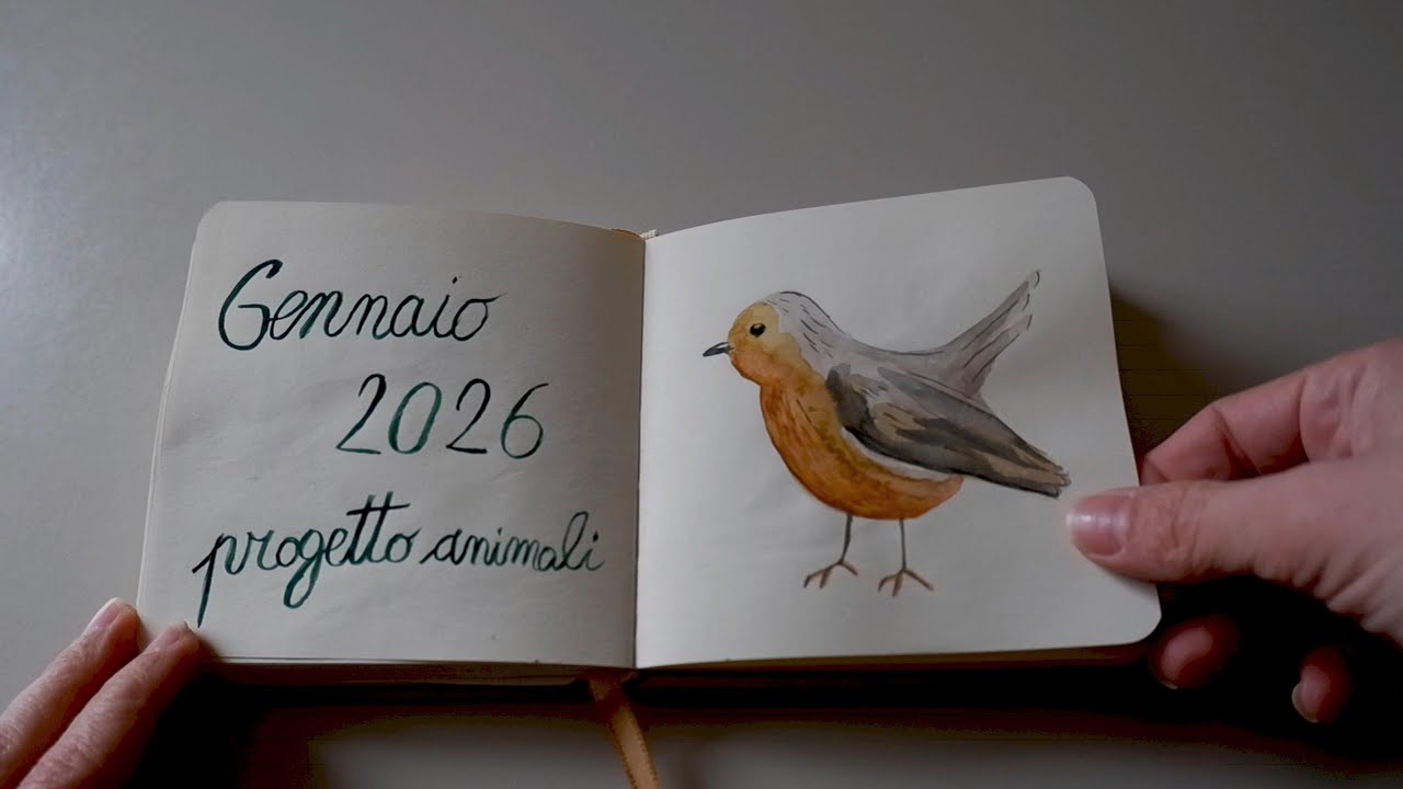 Diario d'artista Gennaio appuntamento con l'acquerello e consigli  per prendersi una pausa creativa