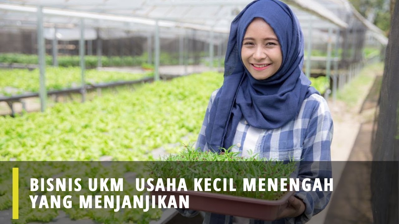 Bisnis UKM  Usaha Kecil Menengah Yang Menjanjikan