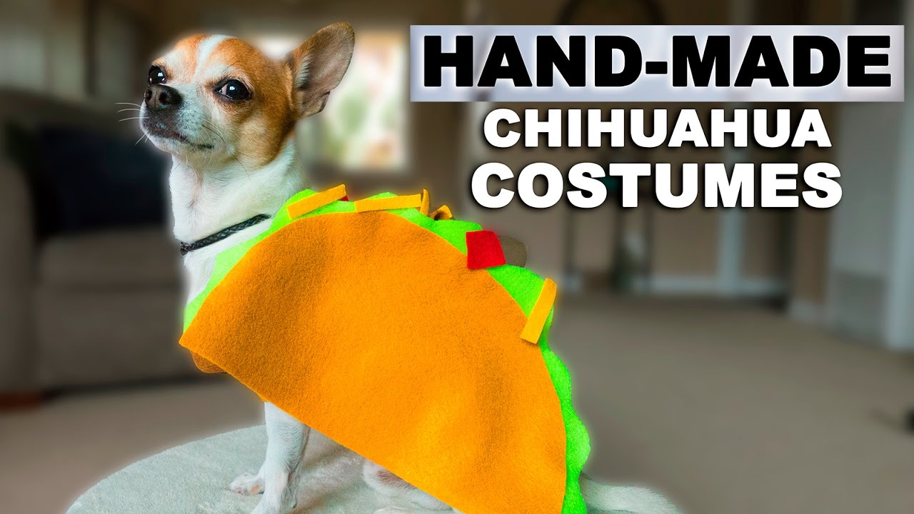 HALLOWEEN HOME-MADE DOG COSTUMES | Nic and Pancho Vlog #9
