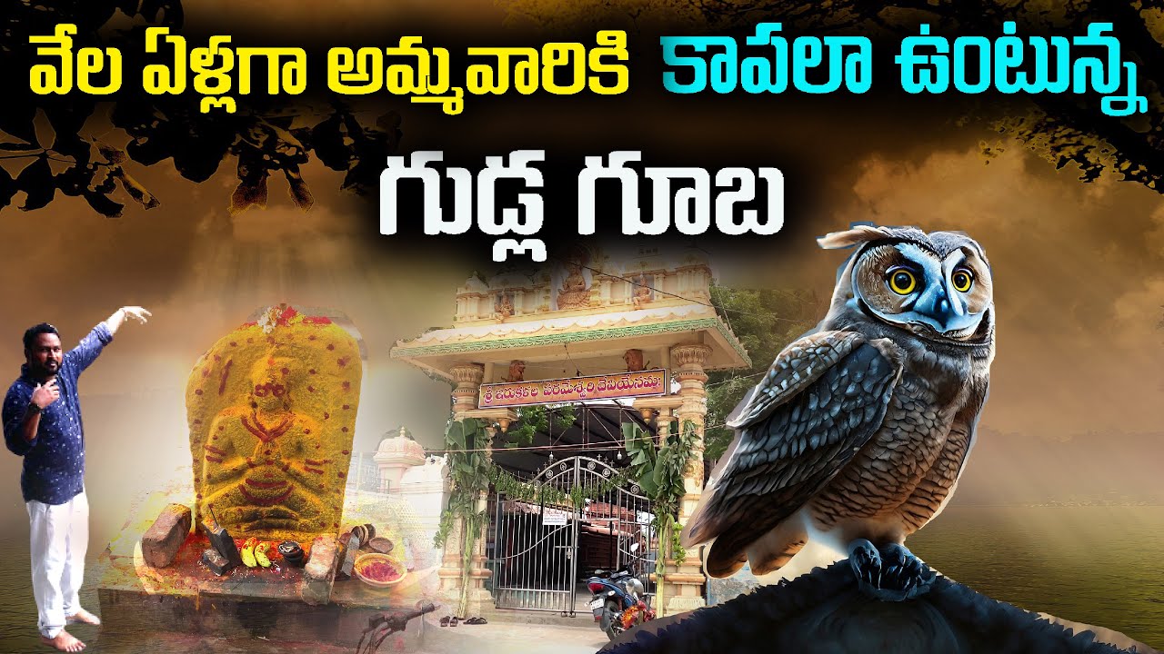 గుడ్ల గూబ కాపలా కాస్తున్న వింతైన గుడి నెల్లూరు లోనే | Owl Temple in Nellore