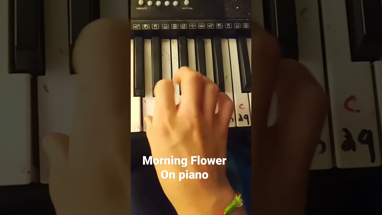 Morning Flower