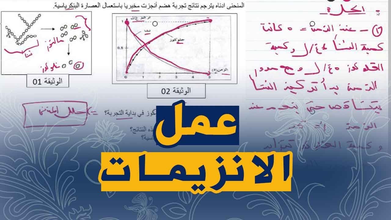 علوم طبيعية للسنة الرابعة متوسط تمرين على عمل الانزيمات