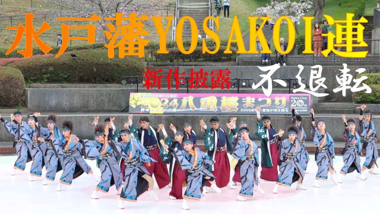 📍新作披露【４K】水戸藩YOSAKOI連「不退転」★八重桜まつり2024/静峰ふるさと公園/１回目/2024.04.21/CanonEos90