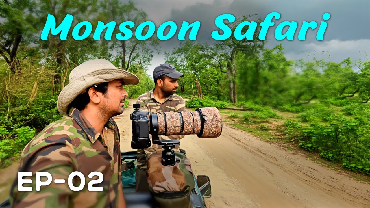 EP 02 - Phato Monsoon  Safari - 4K Video Hindi | हिन्दी