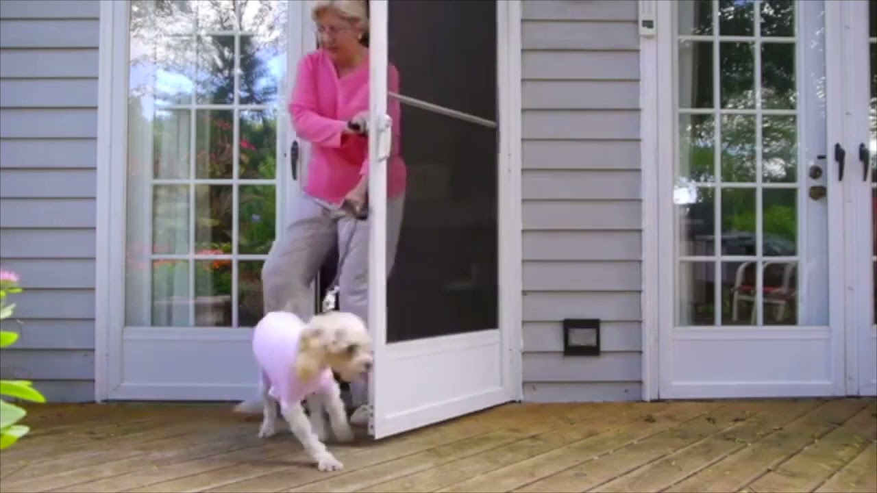 Cover Me by Tui Cone Alternative for Dogs and Cats | Tulane's Closet