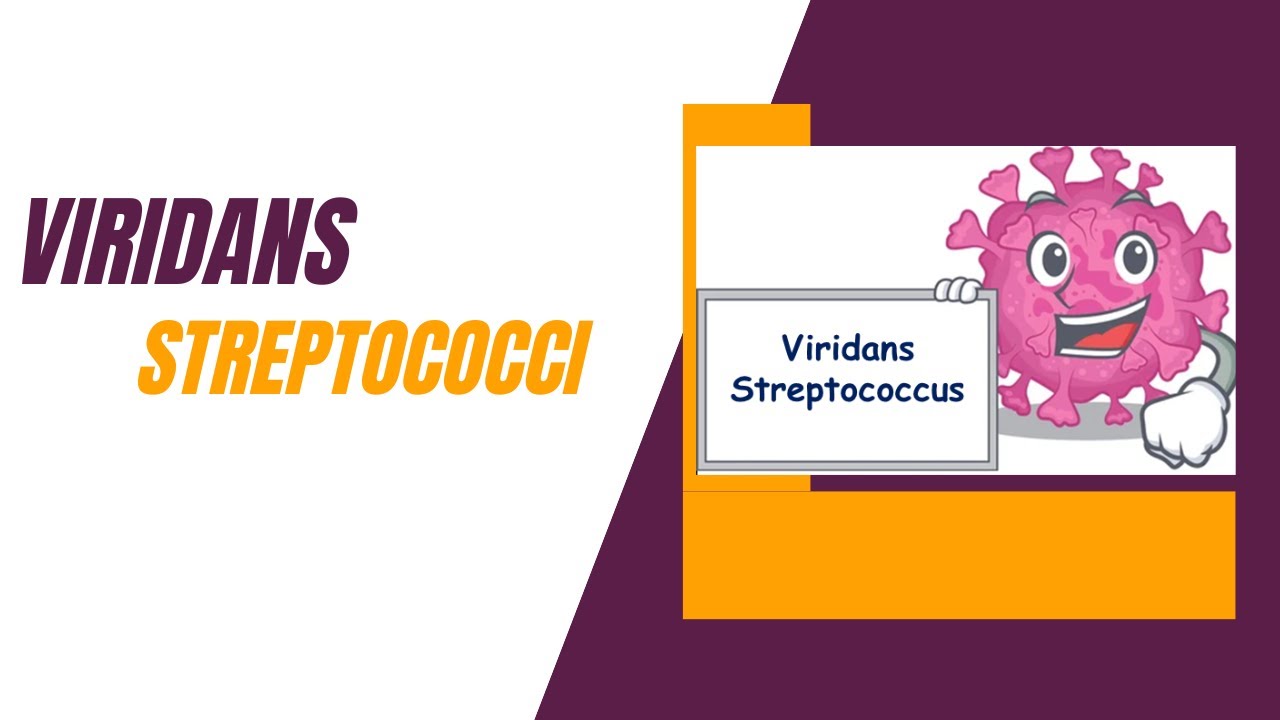 Viridans streptococci