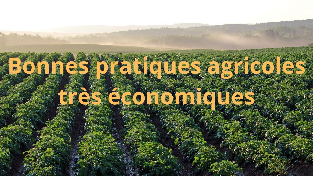 03 Bonnes pratiques agricoles très économiques en Agriculture biologique