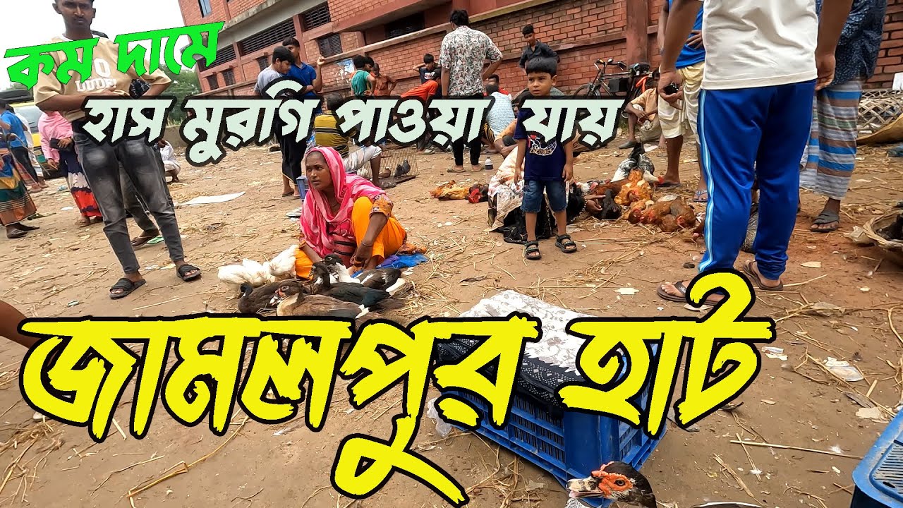 জামালপুর হাট এখানে কম দামে সবজি ও দেশী কবুতর এবং হাস মুরগি কিনতে পাওয়া যায়