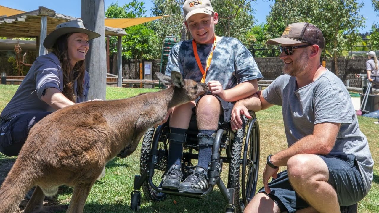 Sydney tourist attractions that are Wheelchair Accessible, no. 3 is SURPRISING!