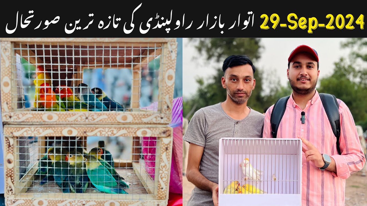 Sunday birds market Rawalpindi || khanna pull Rawalpindi || Rawalpindi ki sub sy bari birds market.