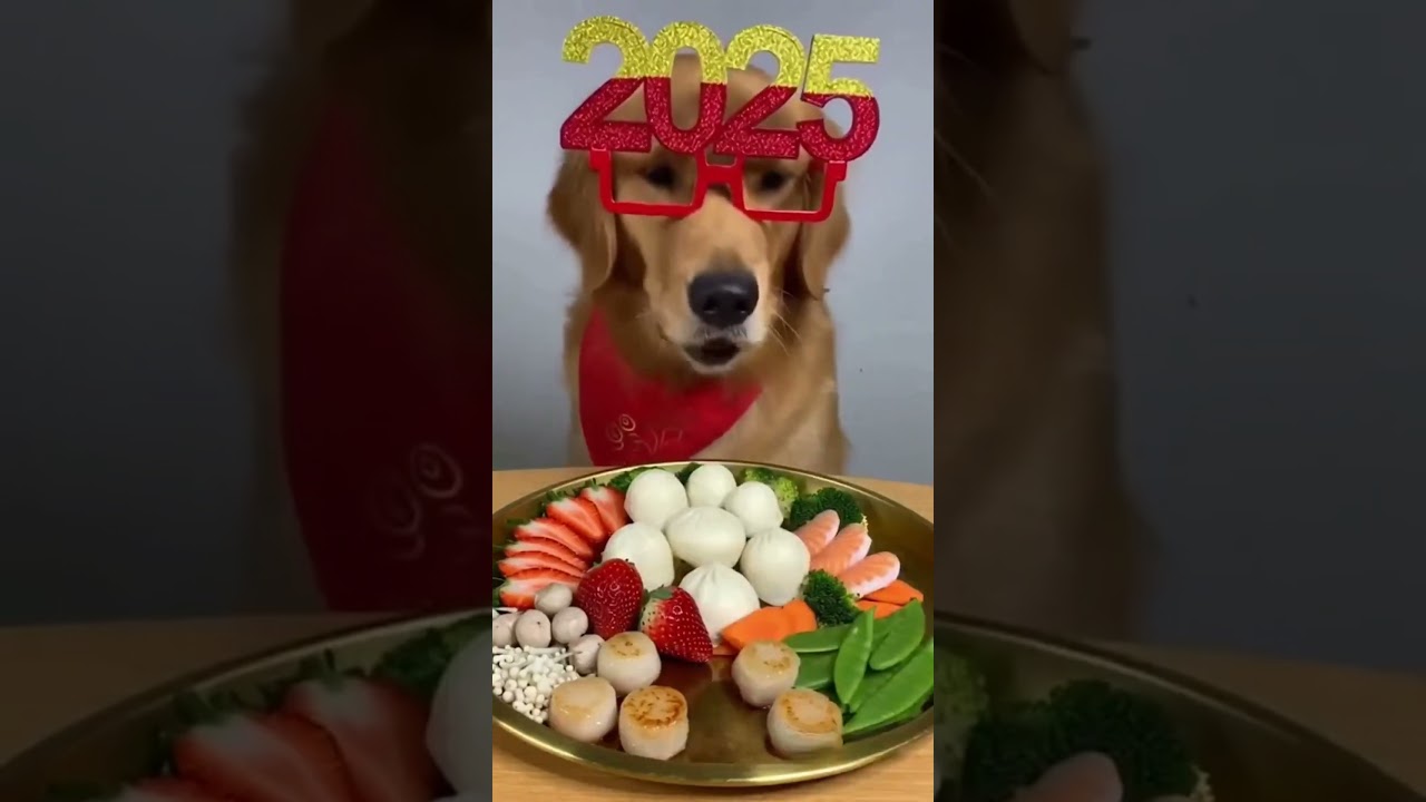 Maple’s 2025 New Year Feast 🐶🎉 Mini Buns & Scallops!